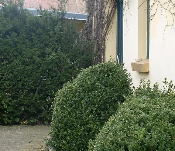 Lejlighed Alte Deckstation Neustadt (Dosse)